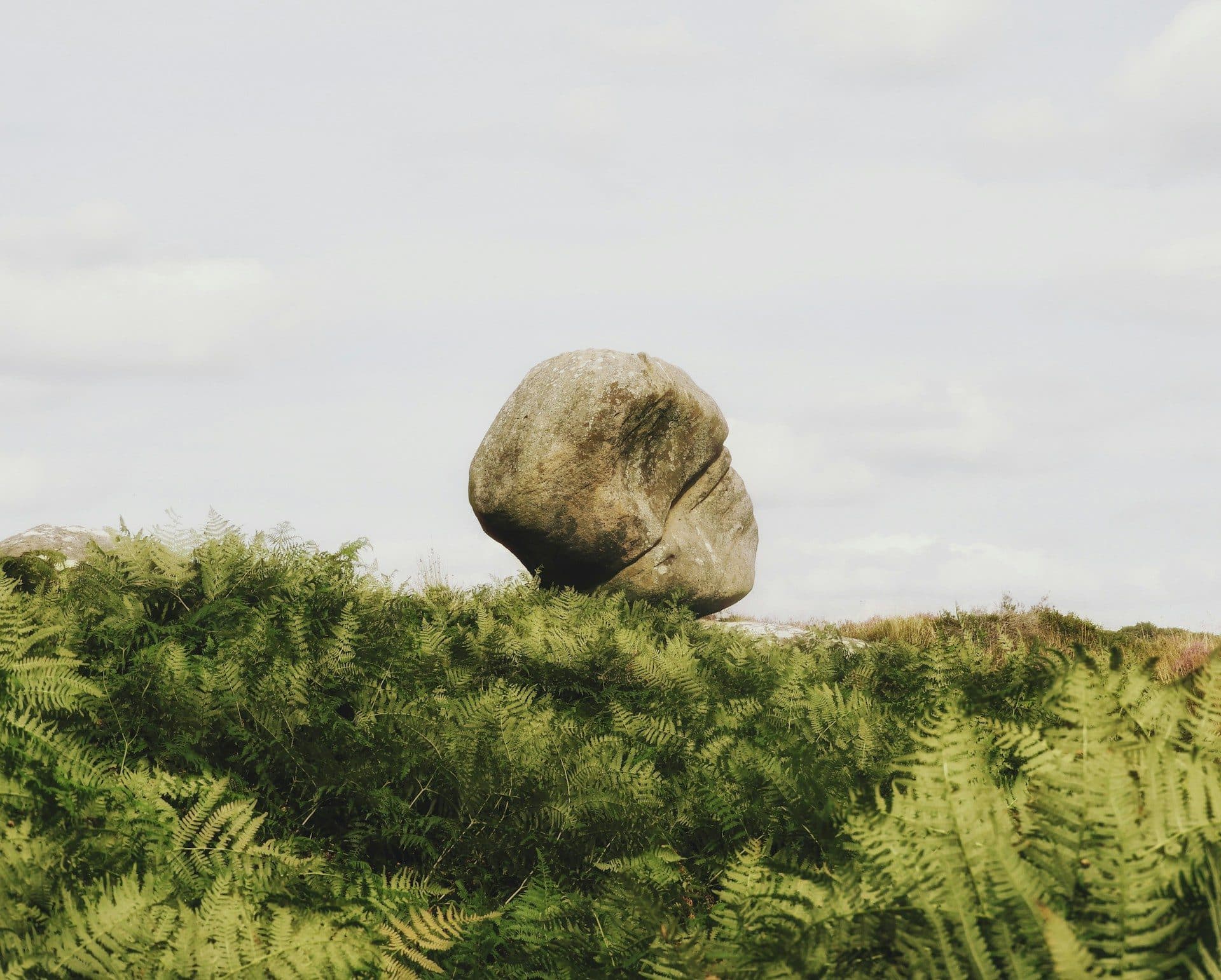 A large weathered boulder resting on a hillside above a dense bank of green ferns, under a pale sky