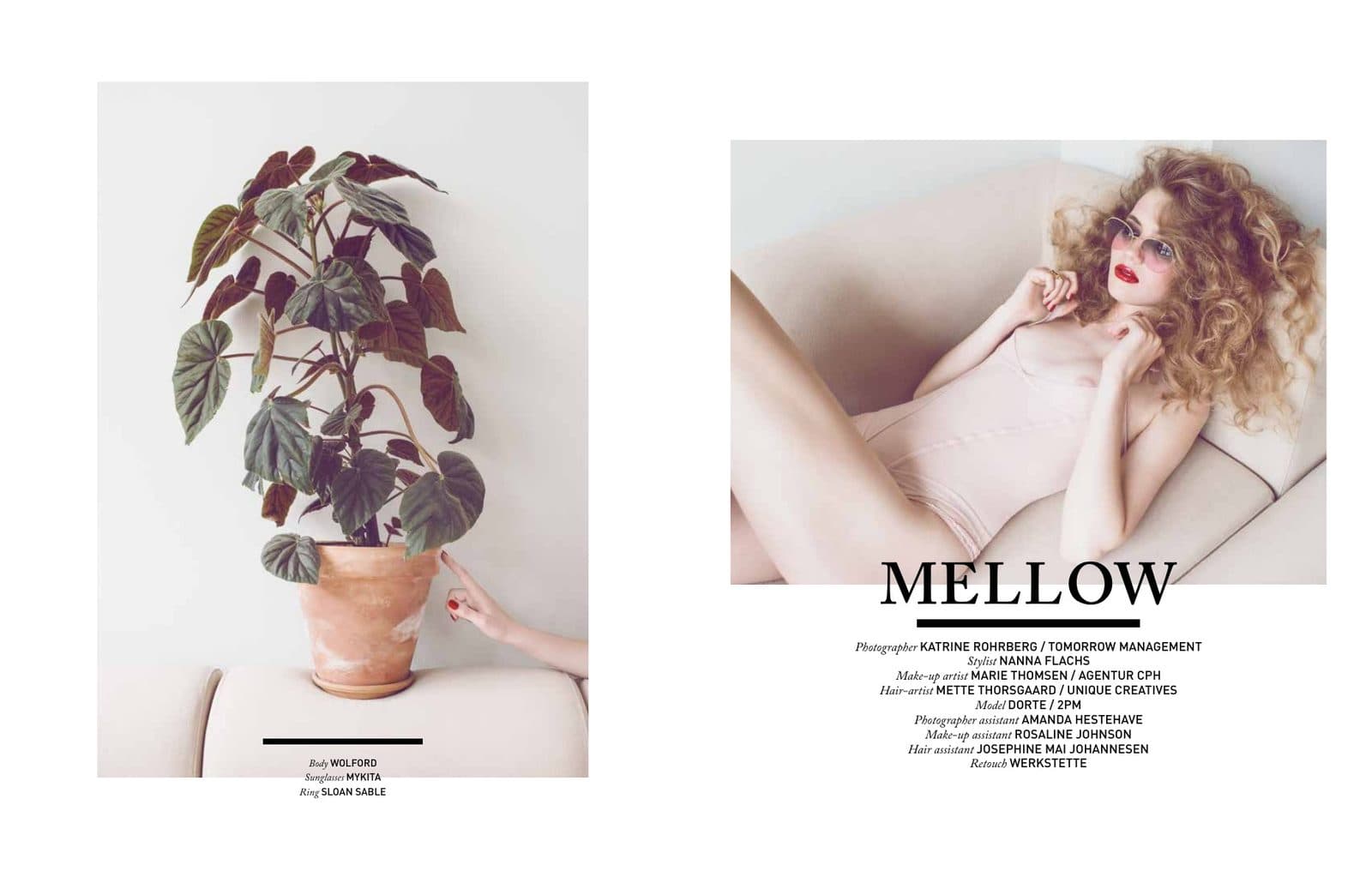 Opening spread of Mellow