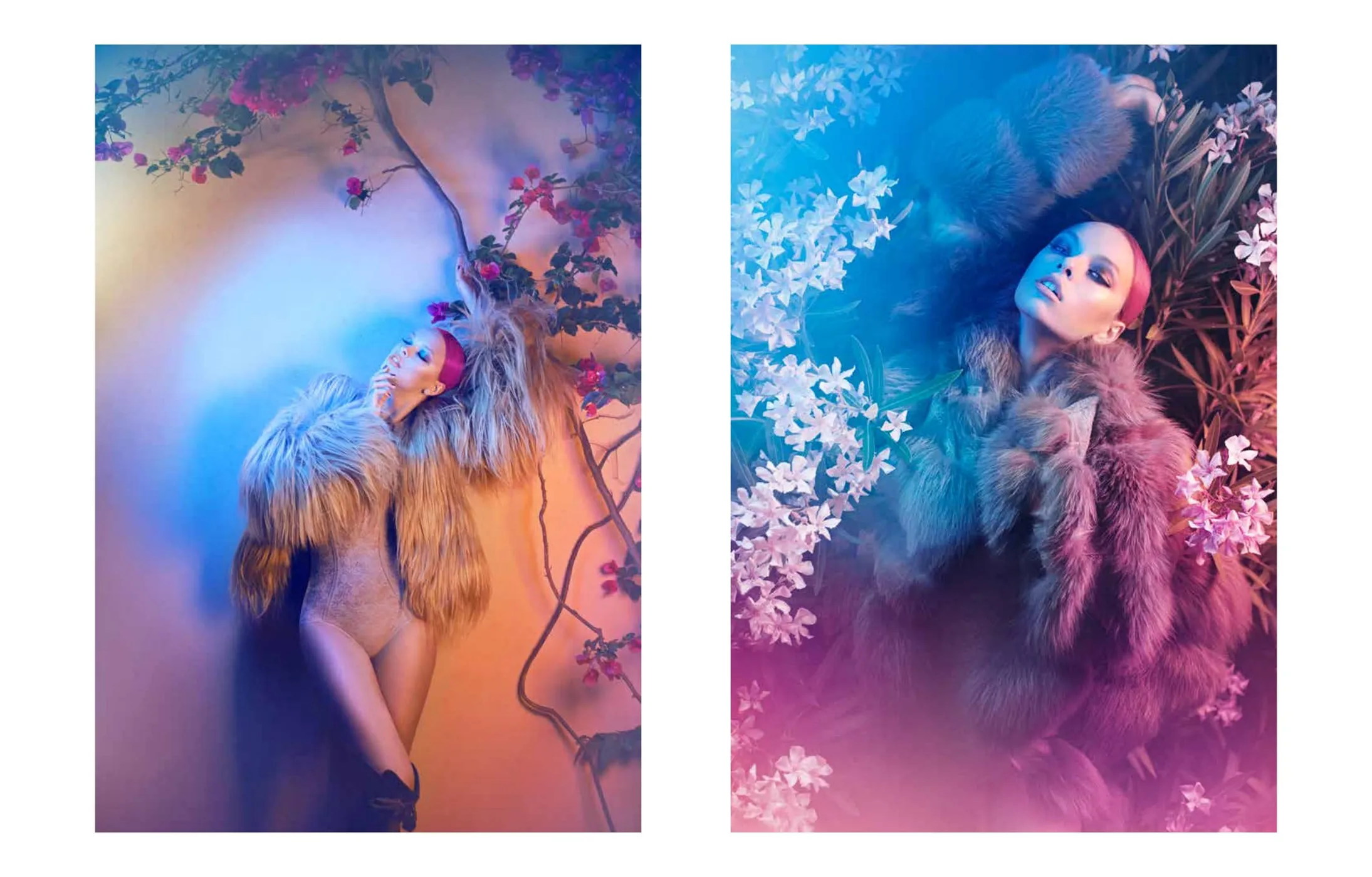 Lys, spread 2